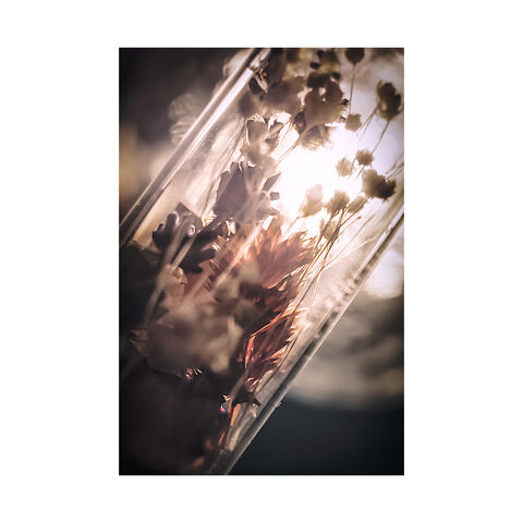 Triptyque floral © Laurence Leberger - LLBGR - 2022